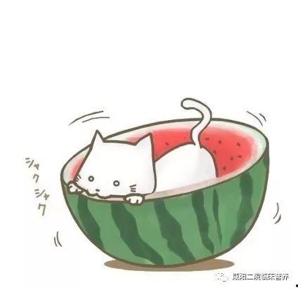 吃瓜百度百科,揭秘网络热点的幕后真相